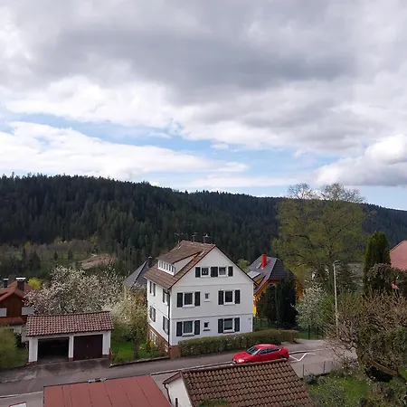 Fewo Salenberg Freudenstadt Buitenkant foto