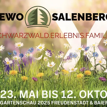 Fewo Salenberg Freudenstadt Buitenkant foto