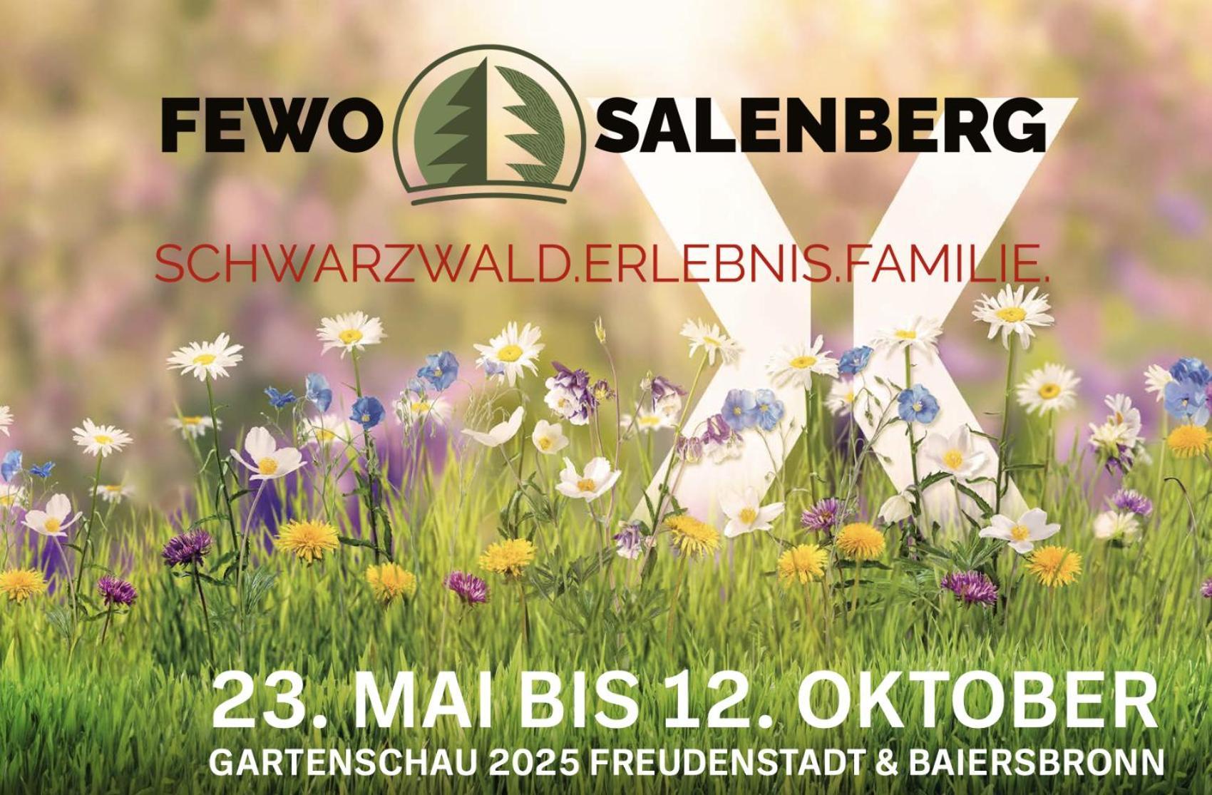 Salenberg Apartment